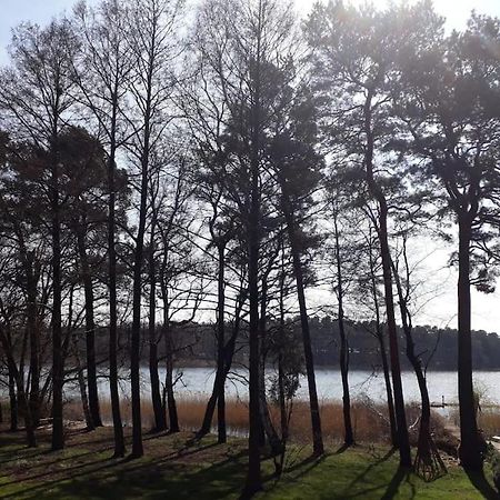 Haus Wilma Gruene Idylle Im Wald Direkt Am See Wendisch Rietz Eksteriør billede