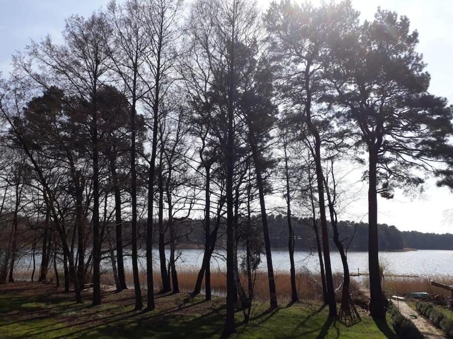 Haus Wilma Gruene Idylle Im Wald Direkt Am See Wendisch Rietz Eksteriør billede