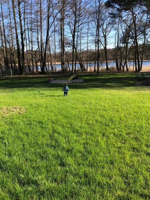 Haus Wilma Gruene Idylle Im Wald Direkt Am See Wendisch Rietz Eksteriør billede