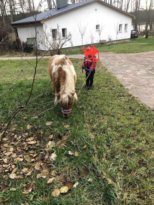 Haus Wilma Gruene Idylle Im Wald Direkt Am See Wendisch Rietz Eksteriør billede
