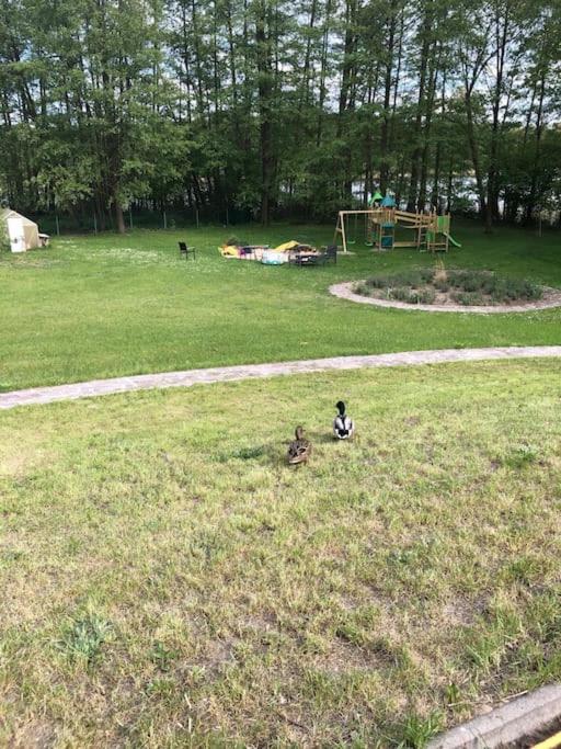 Haus Wilma Gruene Idylle Im Wald Direkt Am See Wendisch Rietz Eksteriør billede