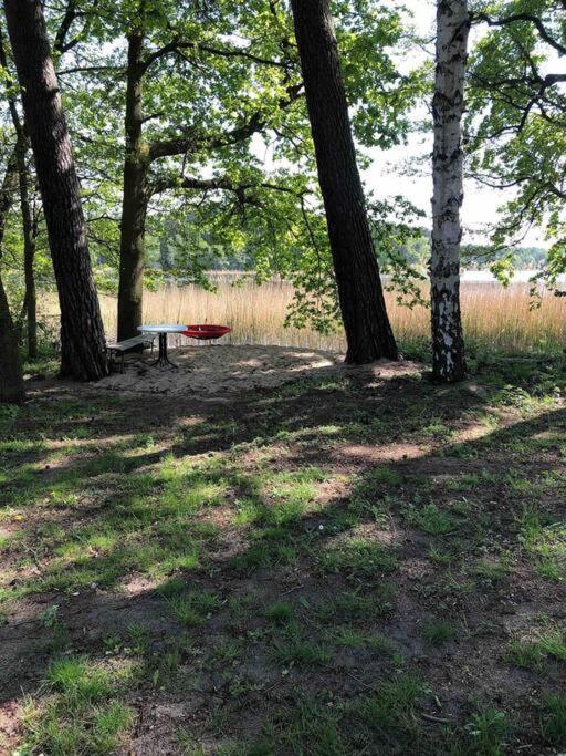 Haus Wilma Gruene Idylle Im Wald Direkt Am See Wendisch Rietz Eksteriør billede